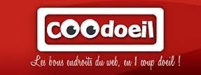 http://www.coodoeil.fr/P-190276-0-B1-la-petite-robe-noire-a-la-francaise.html